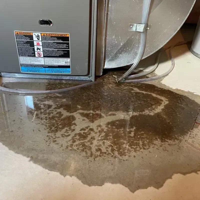 Appliance Leak Cleanup in City of Harrisonburg, VA